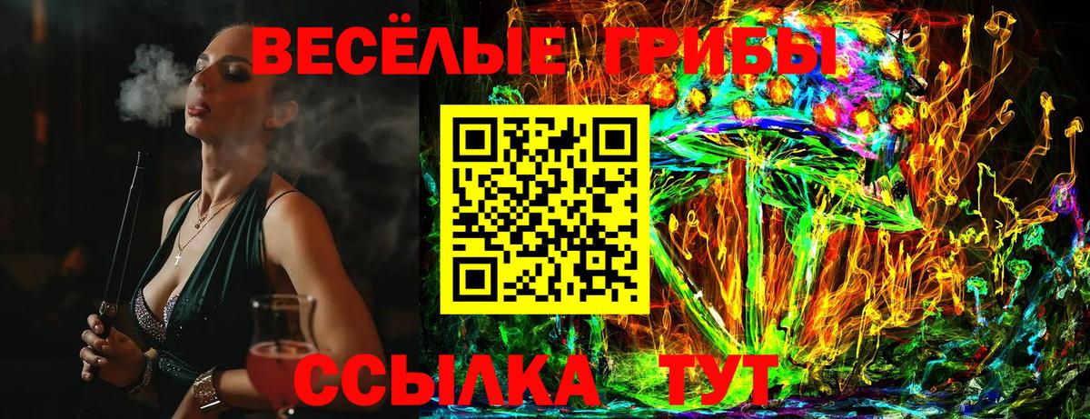 Биробиджан  Псилоцибиновые грибы ЛСД  наркотики  Вход с VPN  Псилоцибиновые грибы MAGIC MUSHROOMS 