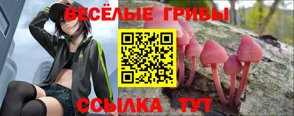 Галлюциногенные грибы Magic Shrooms Биробиджан